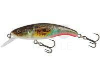 Lure Salmo Slick Stick 6cm - Supernatural Gobie