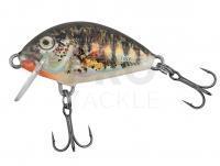 Lure Salmo Tiny IT3F - Holo Stickleback