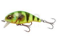 Hard Lure Savage Gear 3D Goby Crank SR 5cm 6.5g - Firetiger Fluo