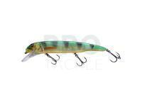 Hard lure Savage Gear Sucker Flanker 25cm 107g - Firetiger Glitter
