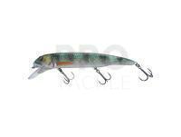 Hard lure Savage Gear Sucker Flanker 25cm 107g - Perch Glitter
