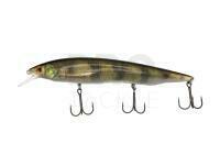 Hard Lure Select Hustler 160SP 160mm 32g - #S49