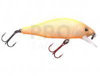 Hard Lure Spro Ikiru Flat Jerk 50FS 5cm 4g - N. Chart Back