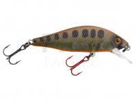 Hard Lure Spro Ikiru Flat Jerk 50FS 5cm 4g - Season Varion