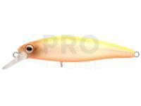 Hard Lure Spro IKIRU Silent Jerk SLS 65 | 6.5 cm 6.5g - N. Chart Back