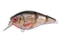 Hard Lure Spro IKIRU Tri-Crank 65F | 6.5 cm 12 g - Roach