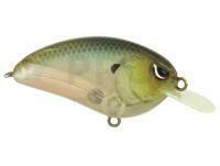 Hard Lure Spro Little John 50 5cm 14g - Spooky Shad