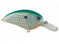 Hard Lure Spro Little John MD 50 5cm 14g - Citrus Shad