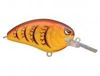 Hard Lure Spro Little John MD 60 6cm 11.6g - Spring Craw