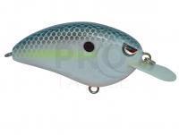 Hard Lure Spro Little John Type R 50 5cm 14g - Nasty Shad