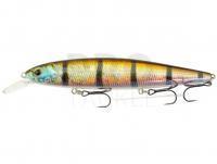 Hard Lure Strike Pro Bold 13cm 24.5g - A185V