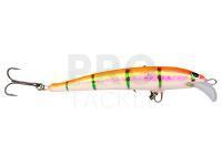 Hard Lure Tunkkionki 10cm - #1003