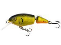 Hard Lure Vidra Perpetual Jointed | 6.50 cm 11 g F - FYB