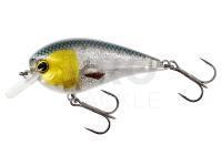 Hard Lure Westin BassBite Squarebill BassBite 2.5 | 7cm 16g - 3D Headlight