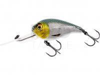 Hard Lure Westin MegaBite DR Crankbait 7cm 30g - 3D Headlight