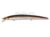 Hard Lure Megabass X-120 | 12cm 11.4g Slow Floating - HT Hakone Wakasagi