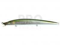 Hard Lure Megabass X-120 | 12cm 11.4g Slow Floating - Wagin AYU