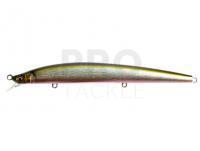 Hard Lure Megabass X-120 | 12cm 11.4g Slow Floating - Wagin Oikawa