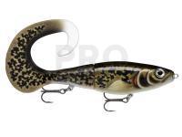 Lure Rapala X-Rap Otus 25cm - Artistic Burbot (ARB)