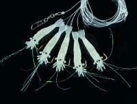 Dega Shrimp Deluxe-Rig Hooksize 4 - Luminous
