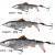 Savage Gear Lures 3D SmashTail Minnow