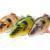 Savage Gear Lures 4D Line Thru Perch