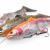 Savage Gear 4D Line Thru Trout Lures