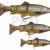 Savage Gear 4D Line Thru Trout