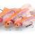 Savage Gear Lures 4D Rattle Trout