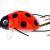 Wob-Art Lures Biedronka (Ladybird)
