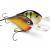 Rapala Lures DT Series