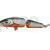 Salmo Fanatic lures