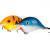 Gloog Hard lure Helios