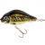 Jaxon Hard Lures Holo Select Carpan