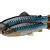 Savage Gear 3D Craft Trout PulseTail Bulk