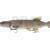 Savage Gear 3D Line Thru Pike