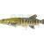 Savage Gear 3D Line Thru Pike