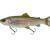 Savage Gear 3D Line Thru Pulsetail Trout