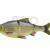 Savage Gear 3D Line Thru Roach