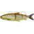 Savage Gear 3D Line Thru Whitefish