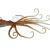 Savage Gear Sea Soft Baits 3D Octopus