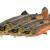Savage Gear 3D Trout Shad