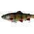 Savage Gear 4D Line Thru Rattle Trout