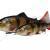 Savage Gear Lures 4D Line Thru Trout Limited