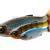 Savage Gear Craft Dying Minnow