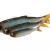Savage Gear Craft Dying Minnow