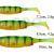 Savage Gear Soft baits Craft Shad Mix