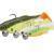 Savage Gear Fat Minnow T-Tail RTF