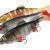 FOX Rage Soft baits Giant Replicant
