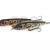 Salmo Lures Jack